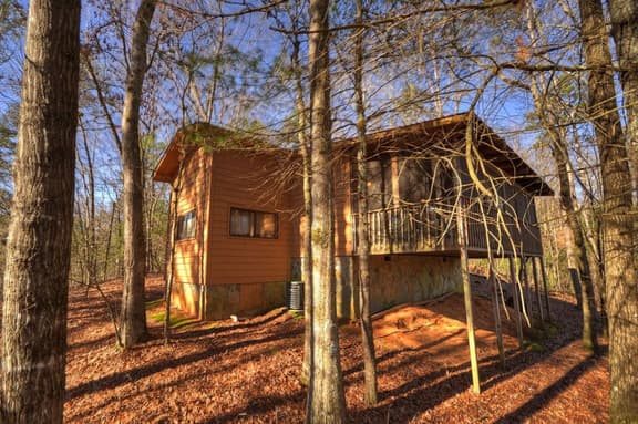 Secluded Bliss Birch Tree Cabin w/ Indoor Hot Tub